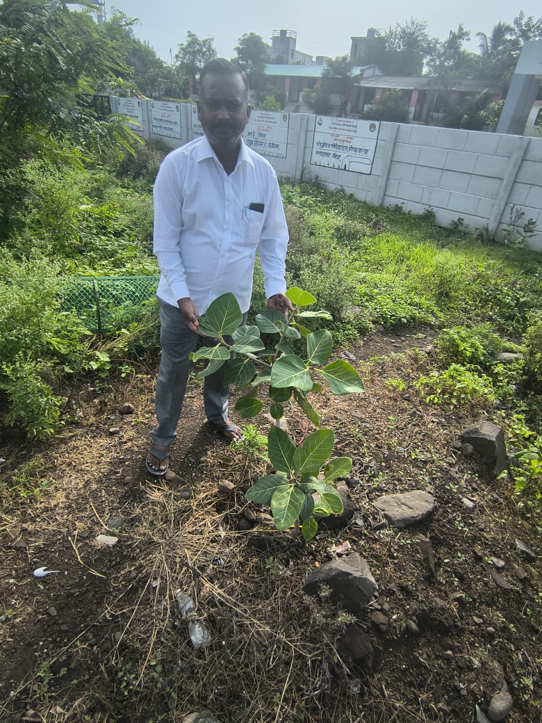 वृक्षारोपण स्थळ